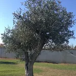 Maison d'hôtes Villa Verde Guest House 3*