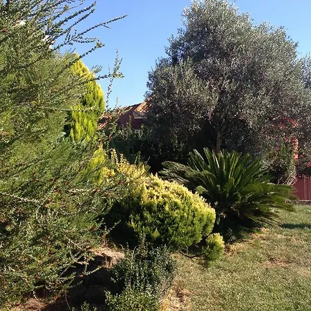Affittacamere Villa Verde Guest House iun q7030 Tramatza